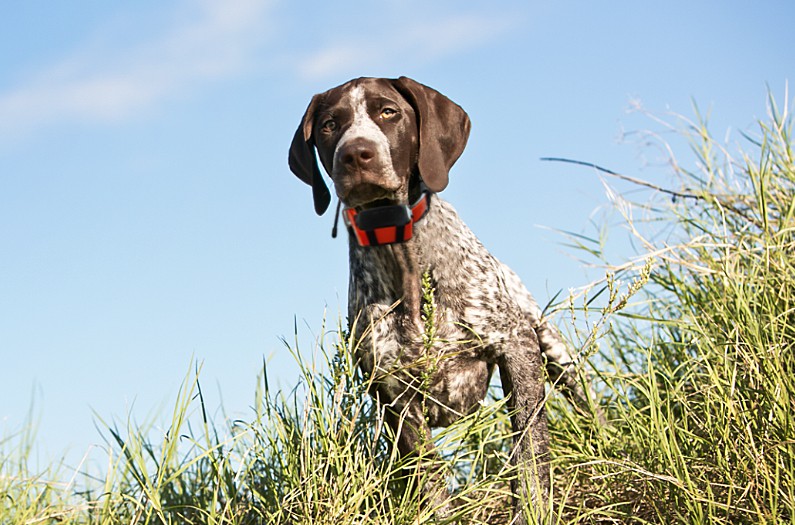 9c311614-5df7-45b0-ac77-dc8e9d51cb30