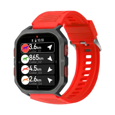 TR-Rellotge Dog® HuntTime